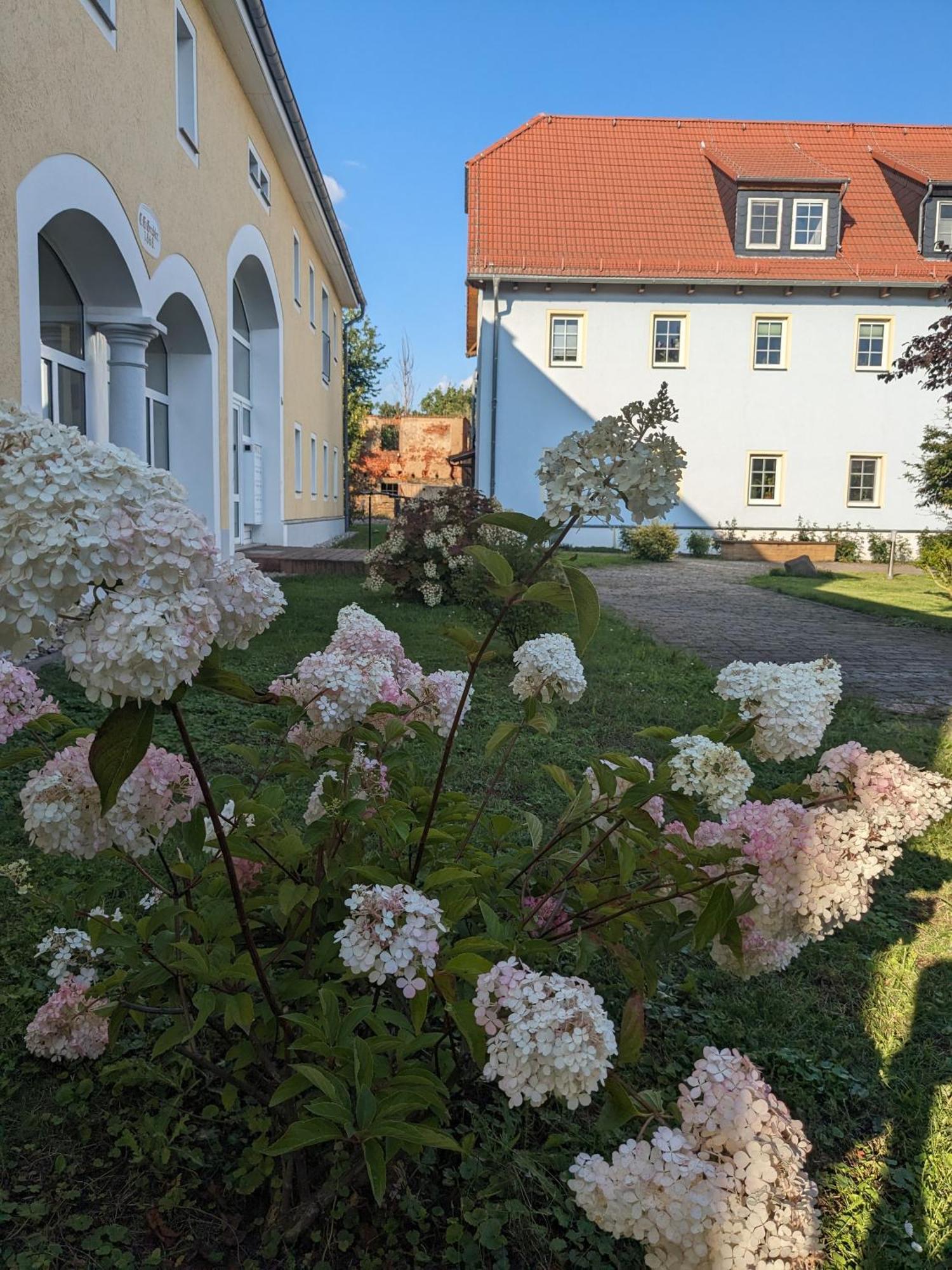 Hof Gruebler Lägenhet Klipphausen Exteriör bild
